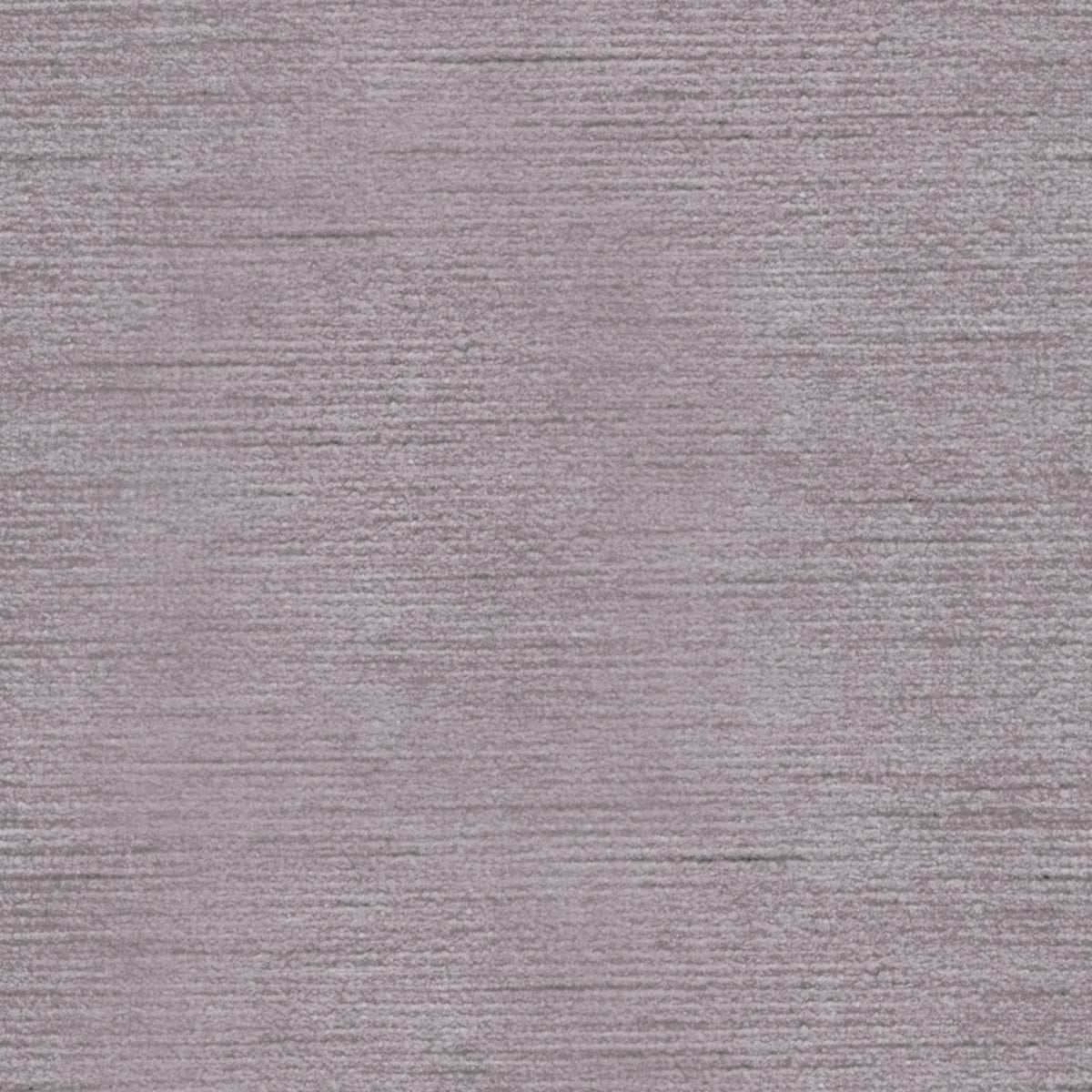 Queen Victoria - Violette