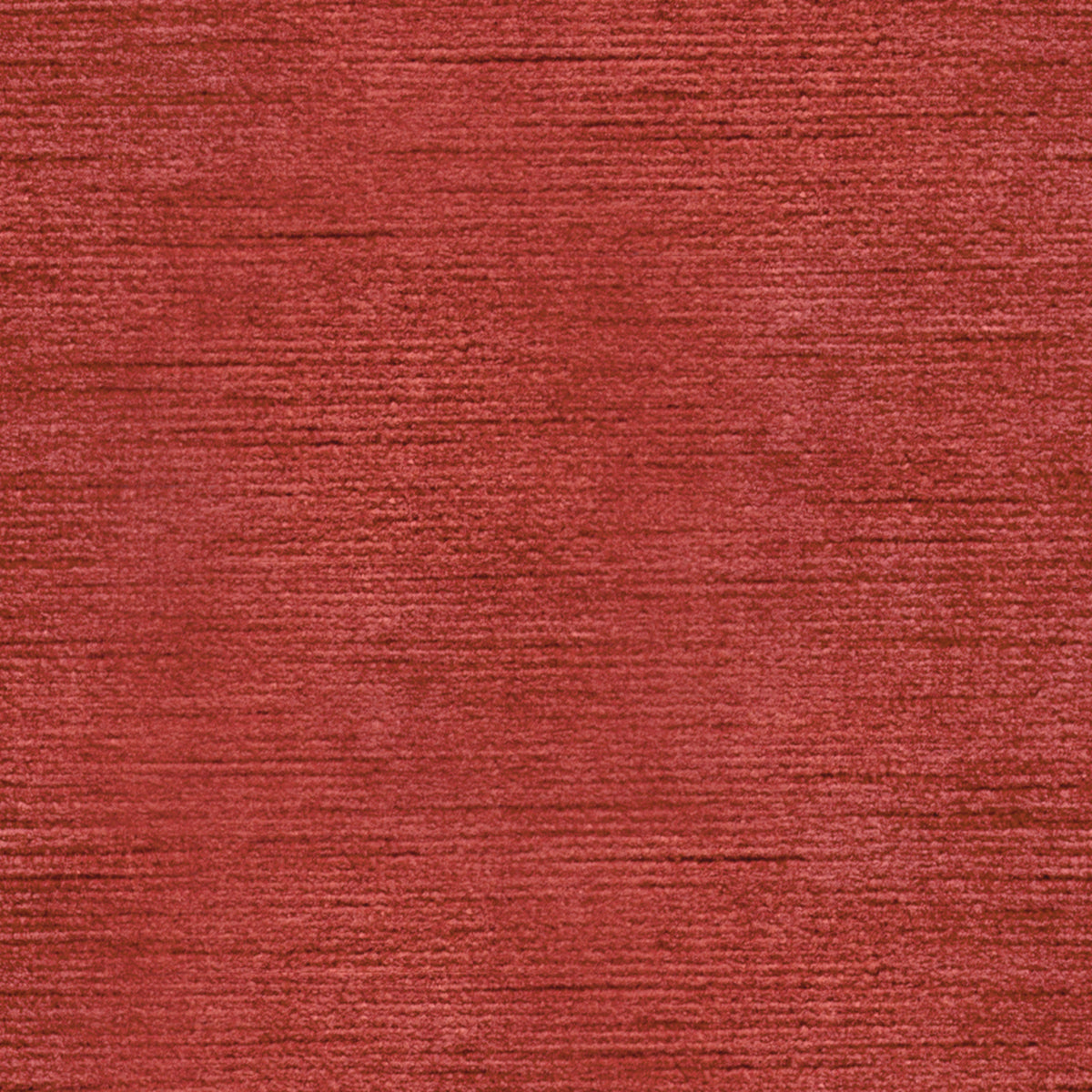 Queen Victoria - Paprika