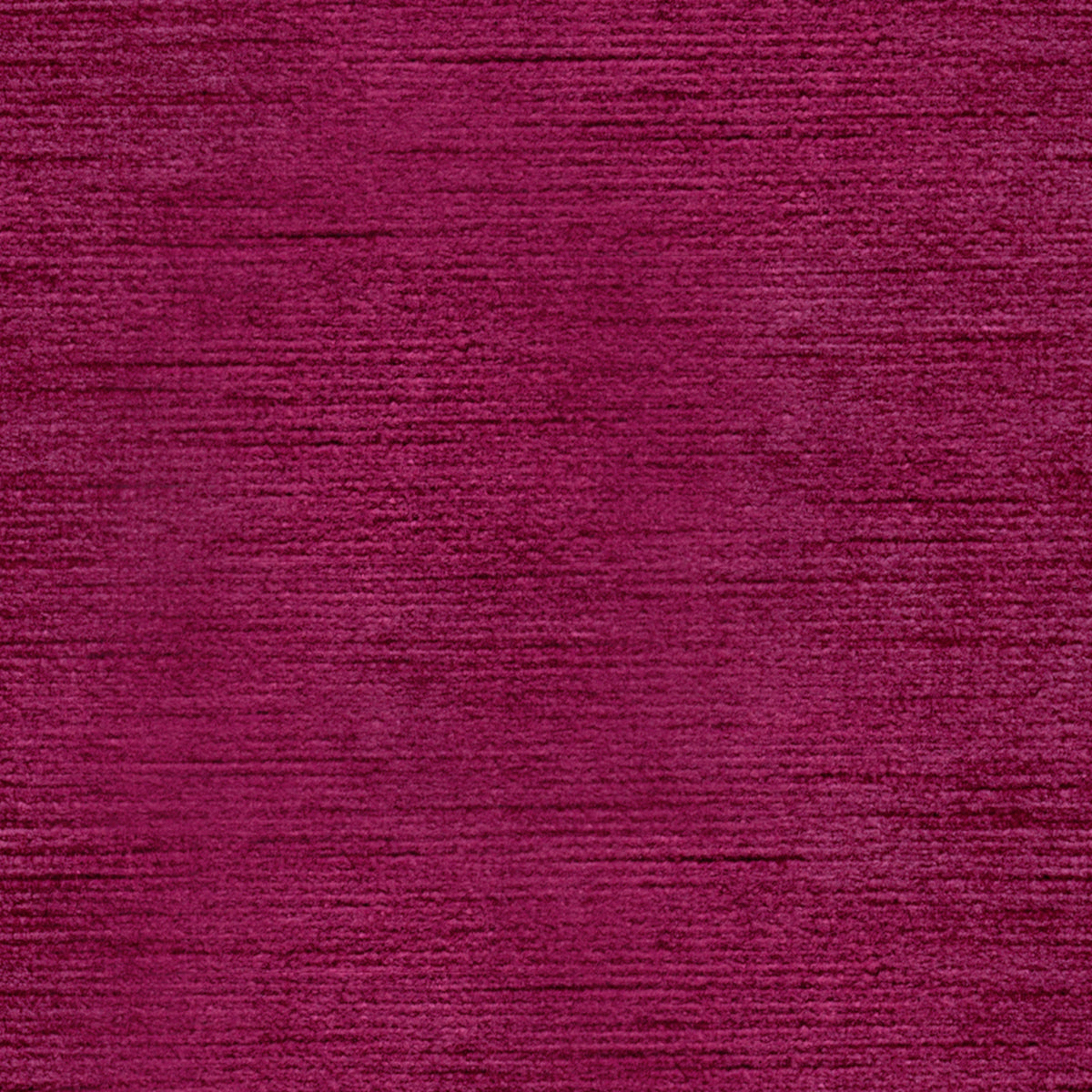 Queen Victoria - Fuschia