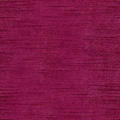 Queen Victoria - Fuschia