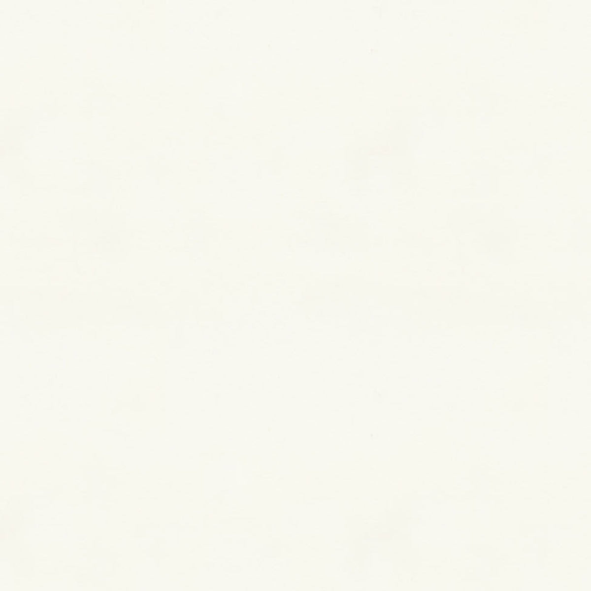 Laudine Fabric by Brunschwig & Fils in White