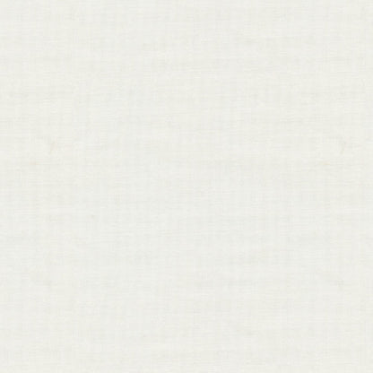Felice Fabric by Brunschwig & Fils in White