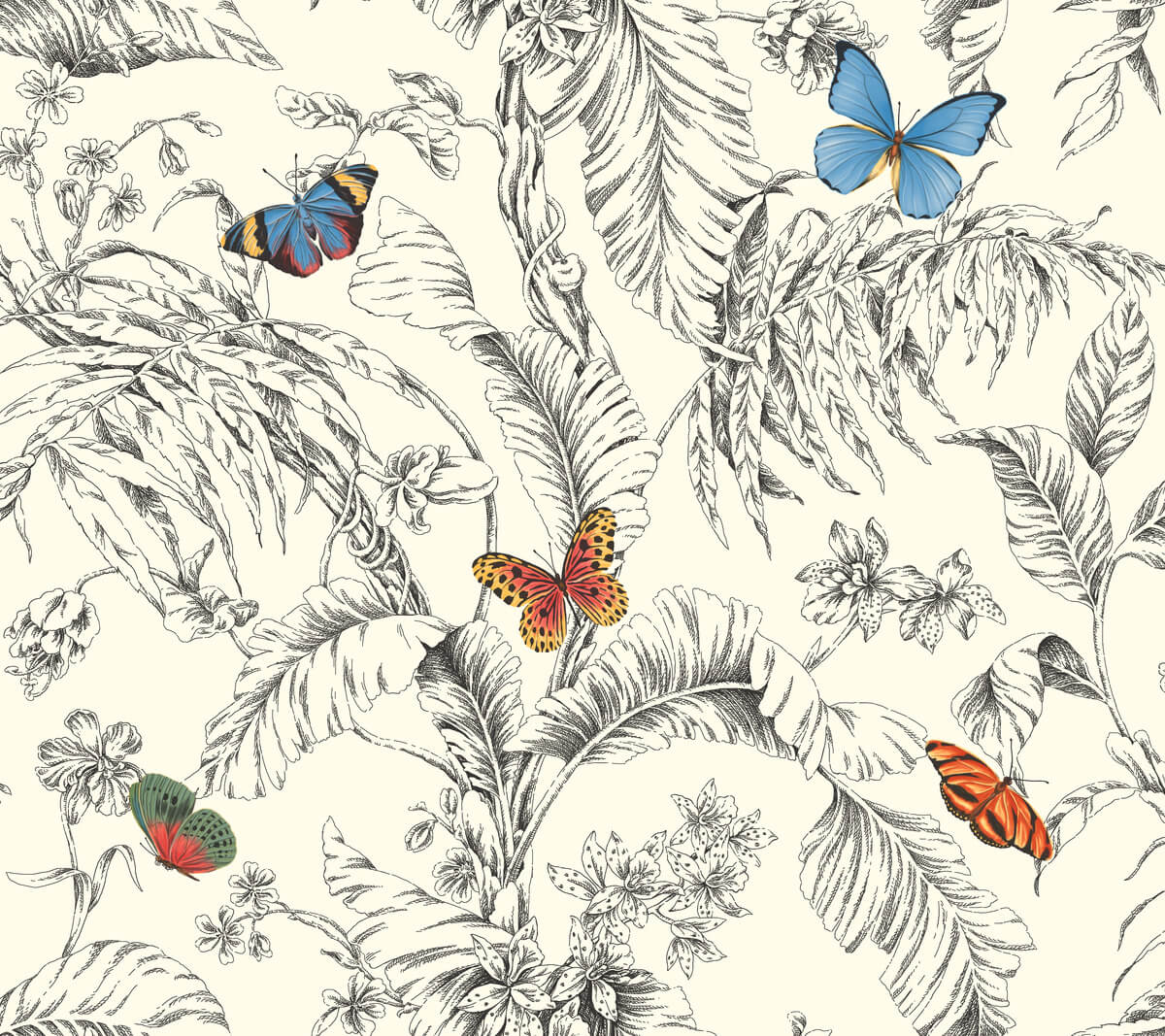 Papillon Wallpaper