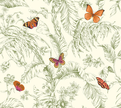 Papillon Wallpaper