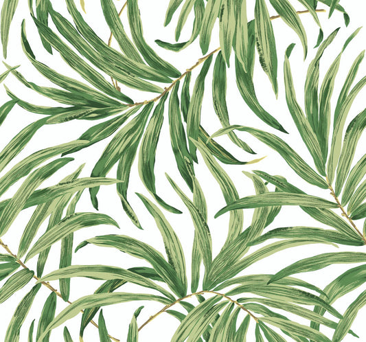 Bali Leaves Wallpaper