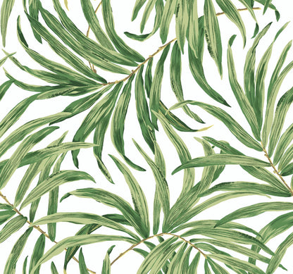 Bali Leaves Wallpaper