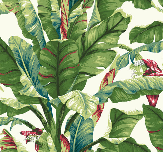 Banana Leaf Wallpaper