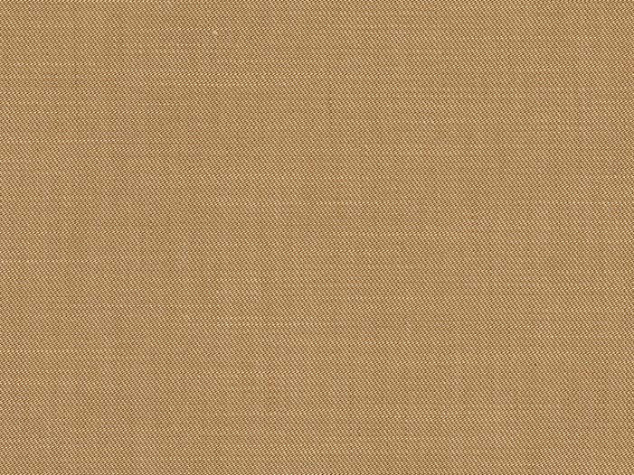 Baori Camel