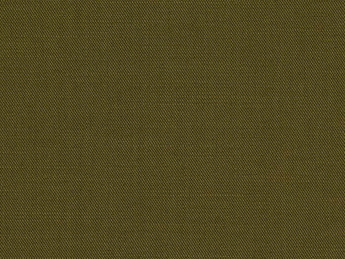 Baori Kelp