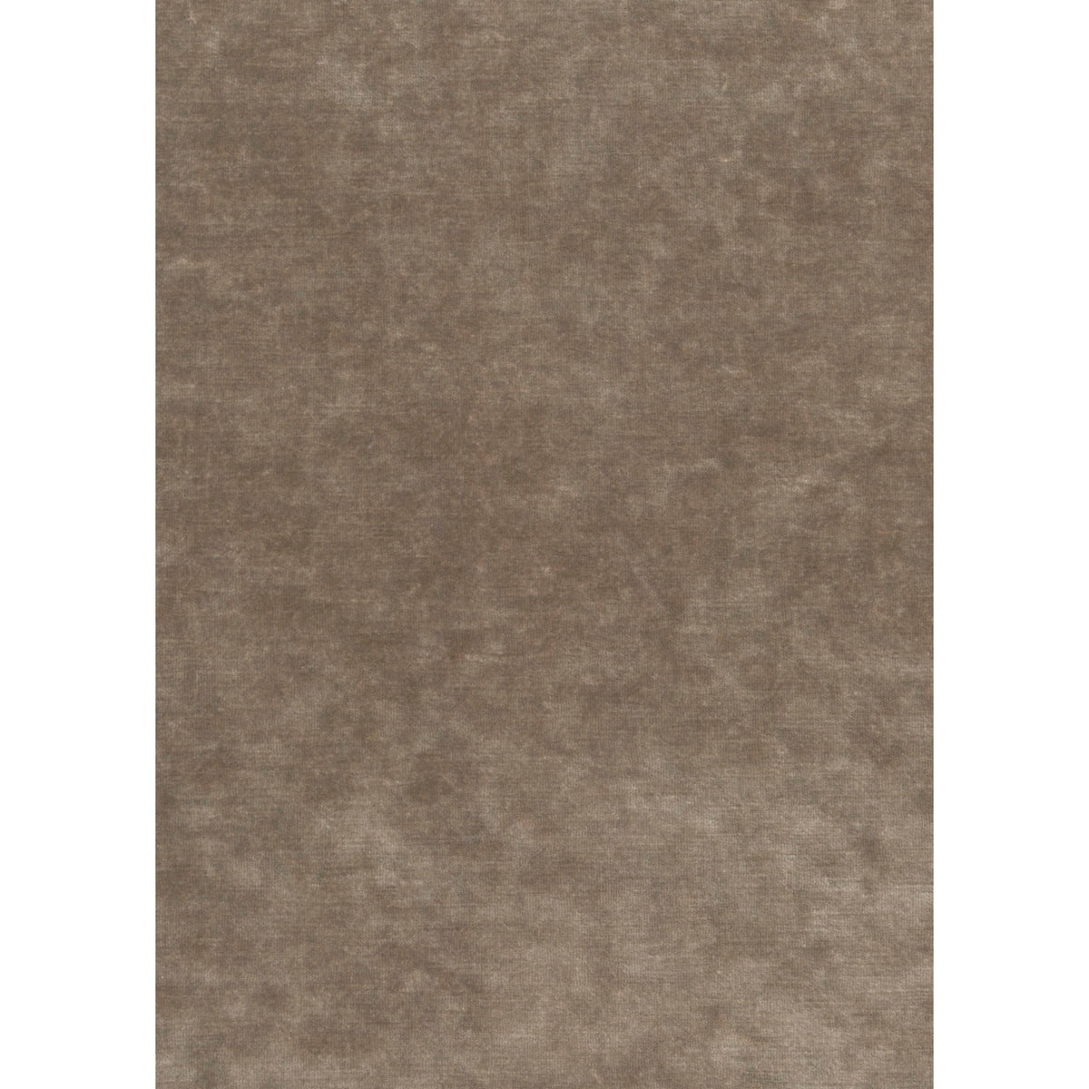 King's Velvet Fabric by G P & J Baker in Mink