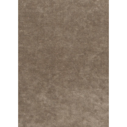 King's Velvet Fabric by G P & J Baker in Mink