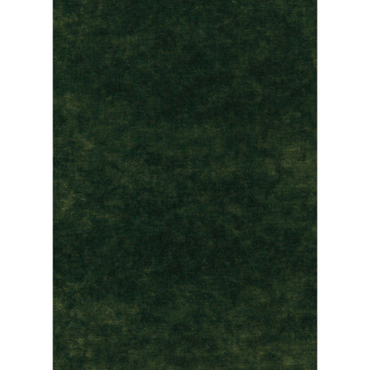 King's Velvet Fabric by G P & J Baker in Emerald