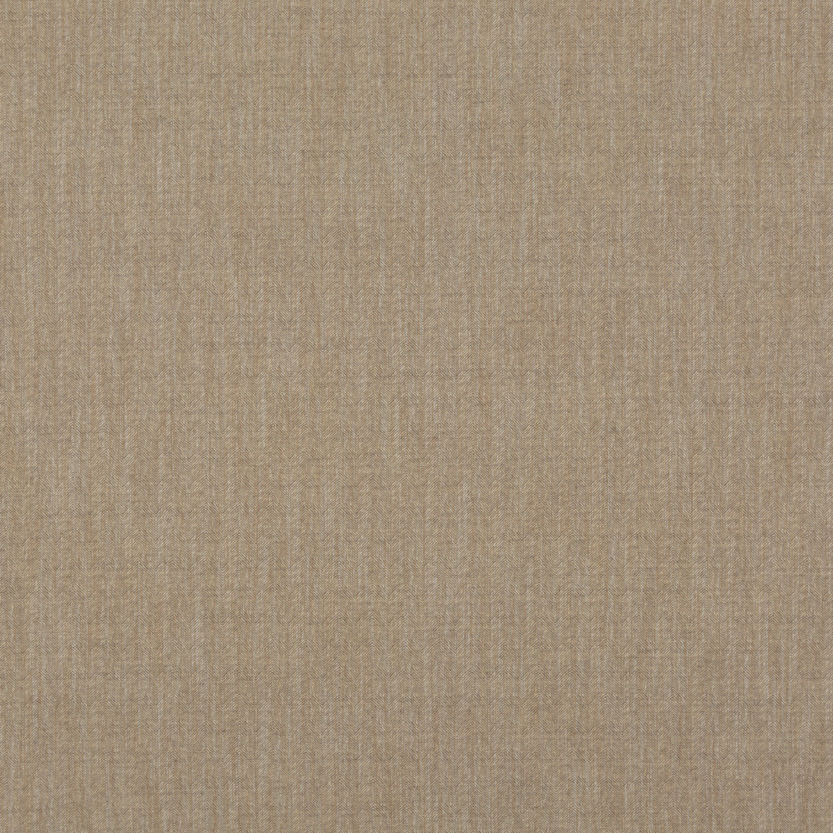 Canyon - Bronze