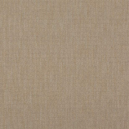 Canyon - Bronze