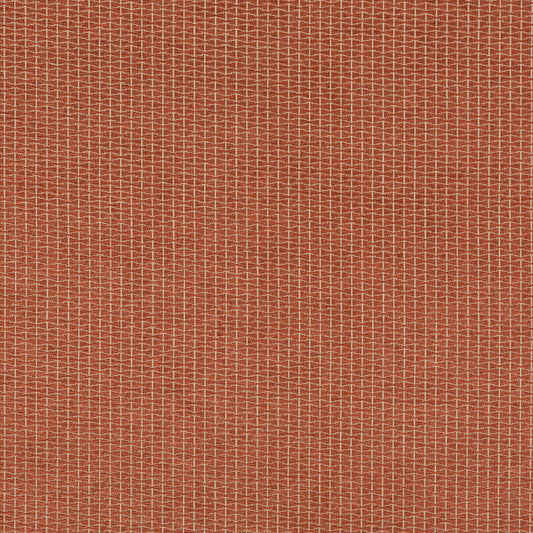 Vortex - Spice