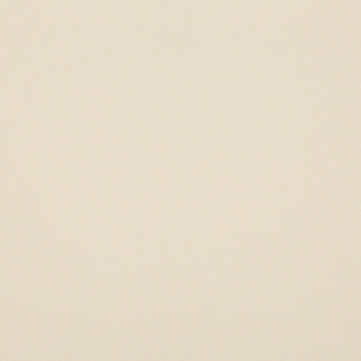 Blizzard - Ivory