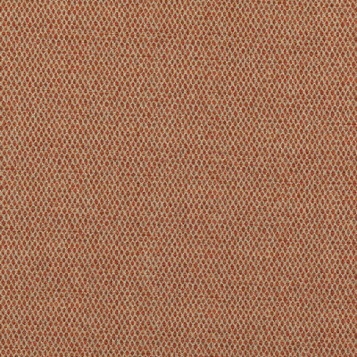 Pednor - Spice