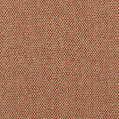 Pednor - Spice