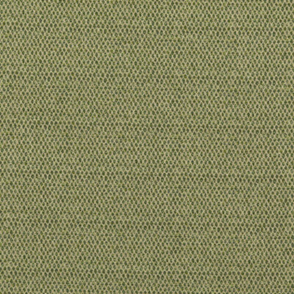 Pednor - Green