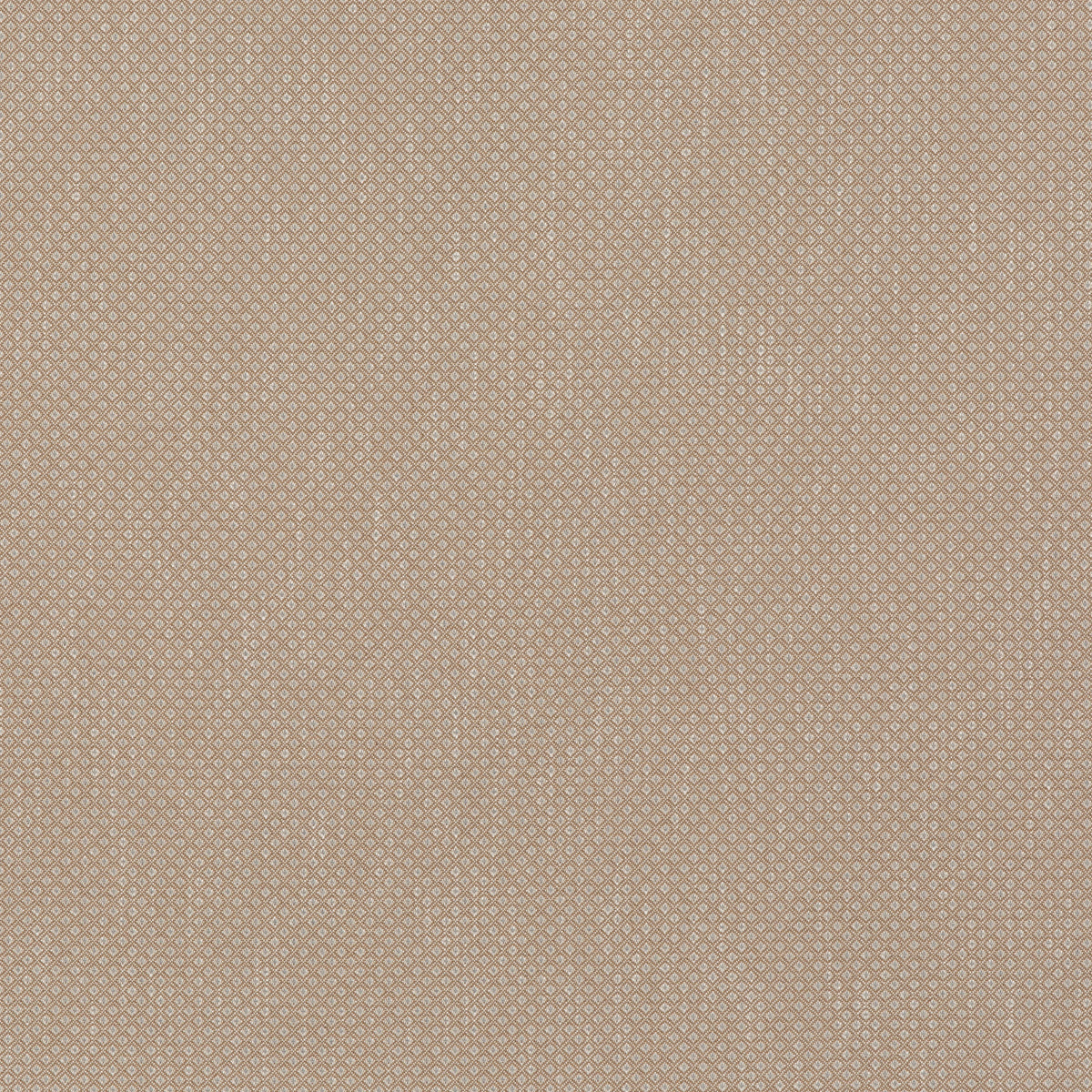 Morley Fabric by G P & J Baker in Sand