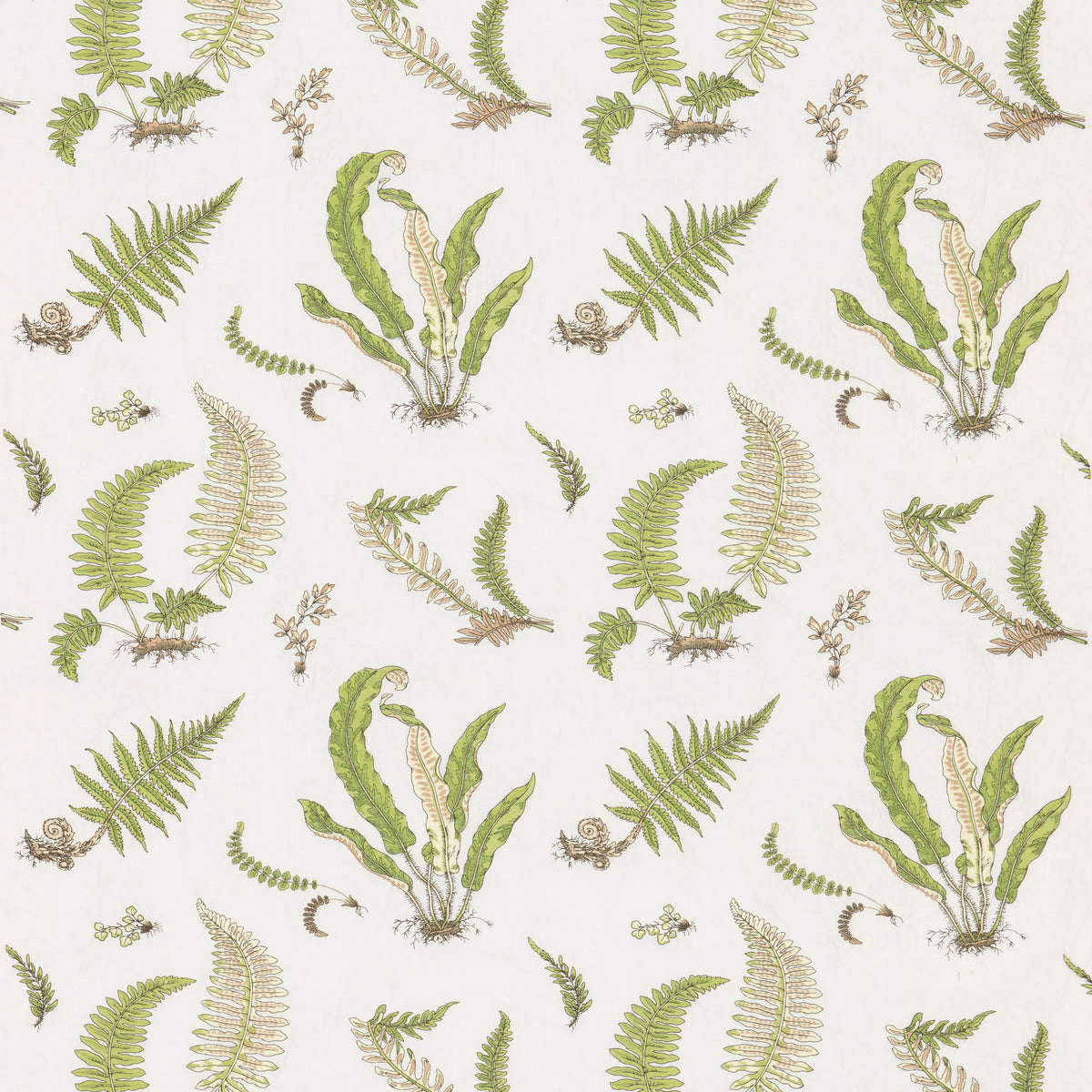 Ferns Embroidery Fabric by G P & J Baker in Green
