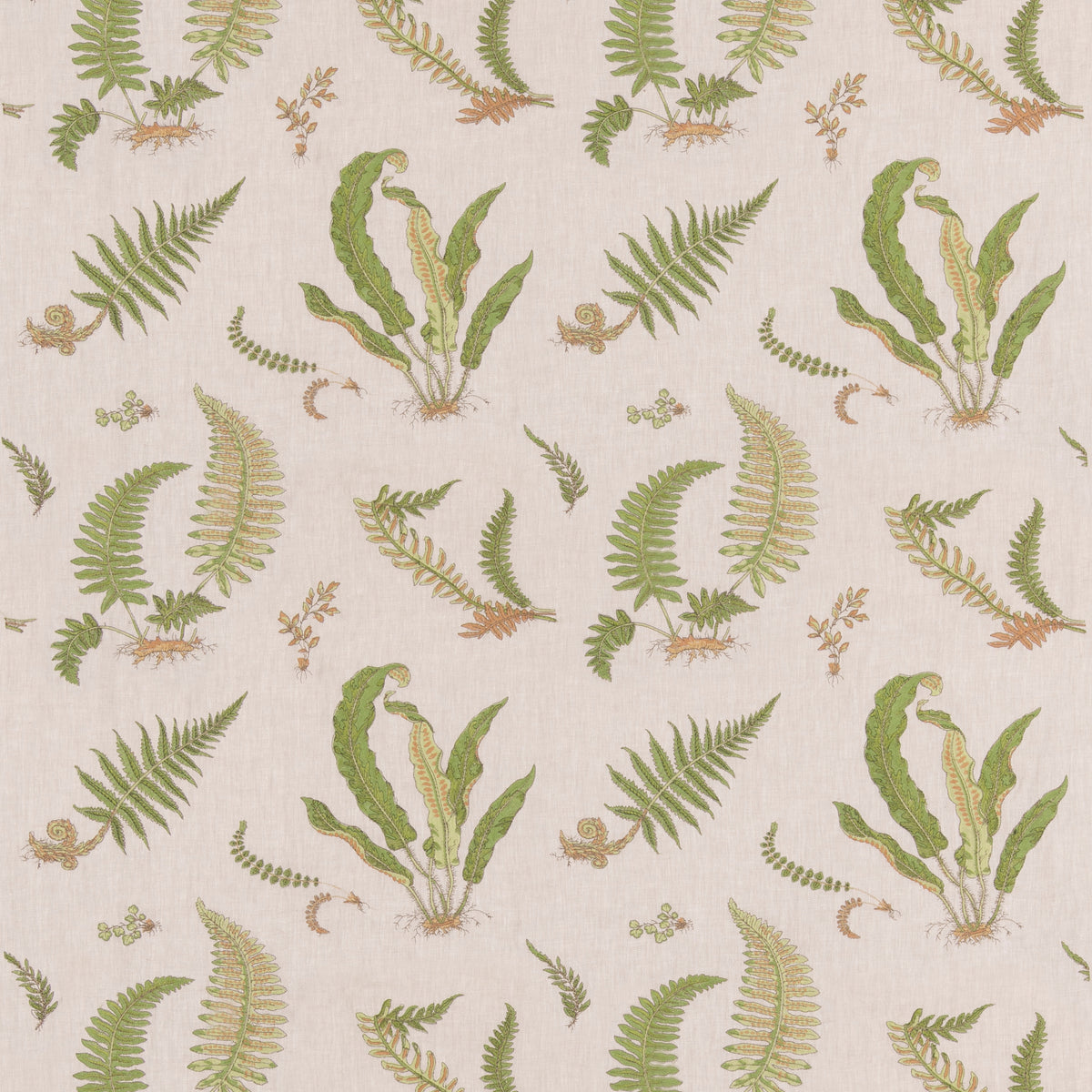 Ferns Embroidery Fabric by G P & J Baker in Green/Natural