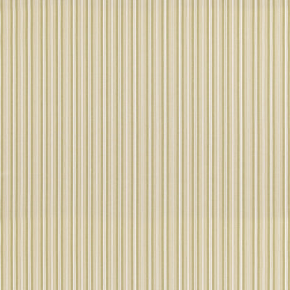 Laverton Stripe - Grass