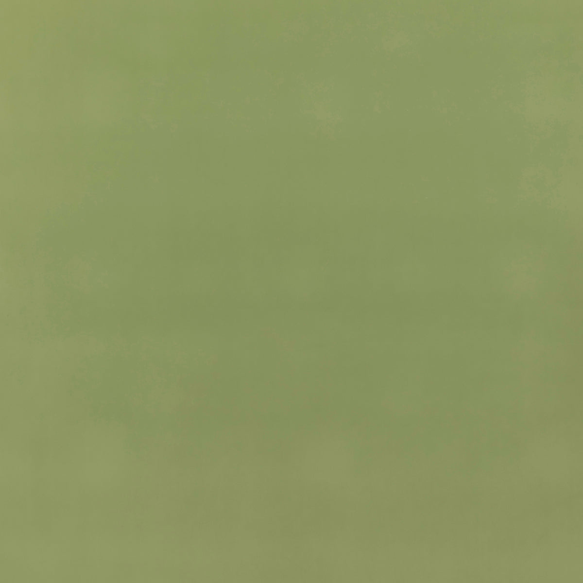 Baker House Fr Velvet - Grass