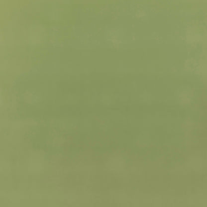 Baker House Fr Velvet - Grass