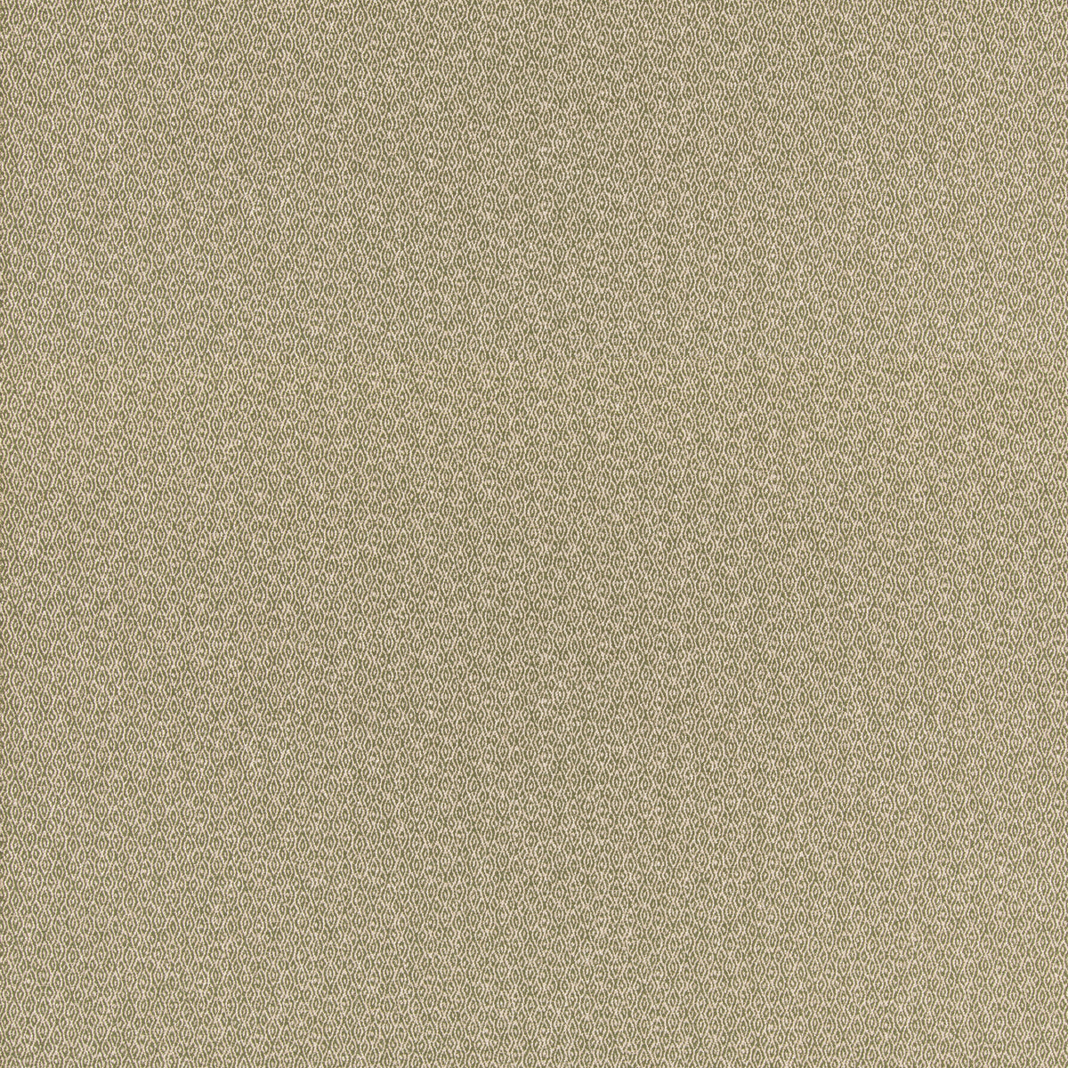 Morton Fabric by G P & J Baker in Green