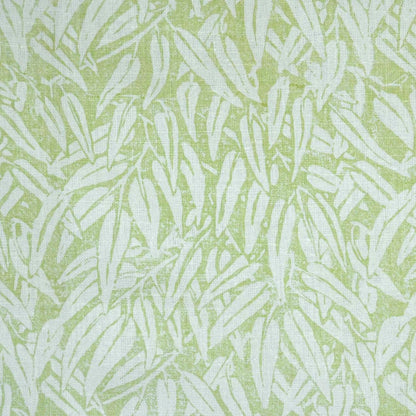 Willow - Lime