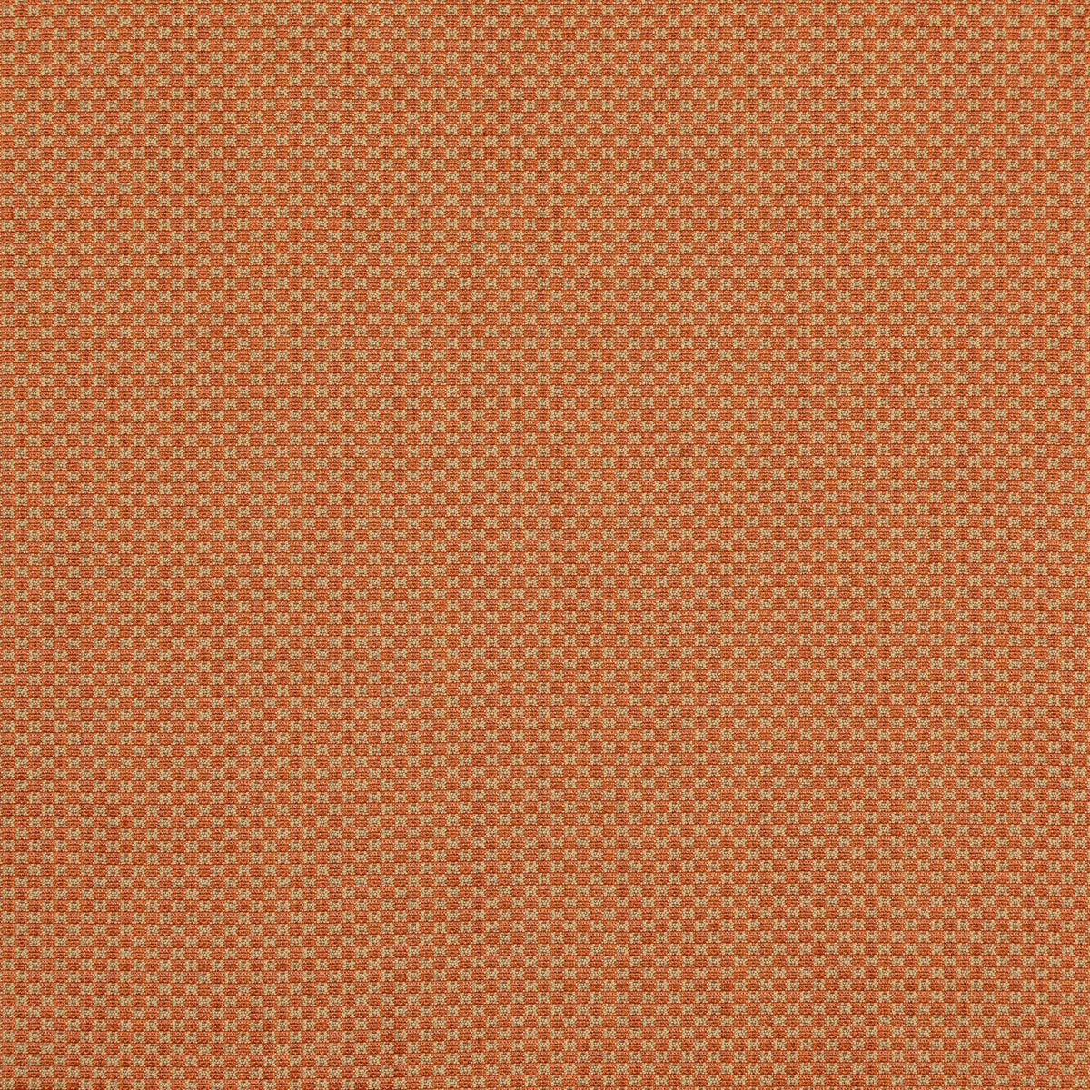 Devon - Tangerine