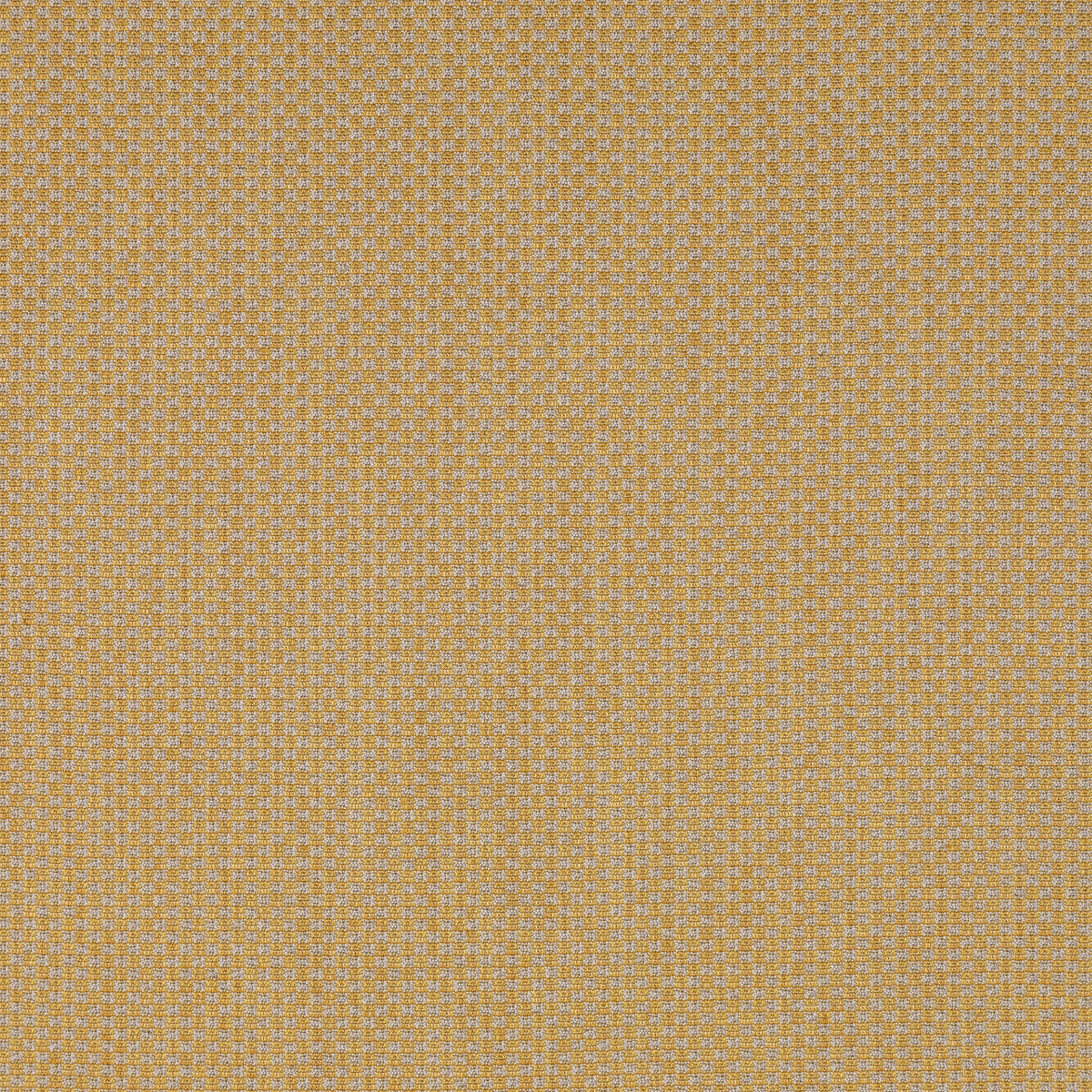 Devon - Gold