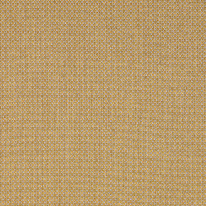 Devon - Gold