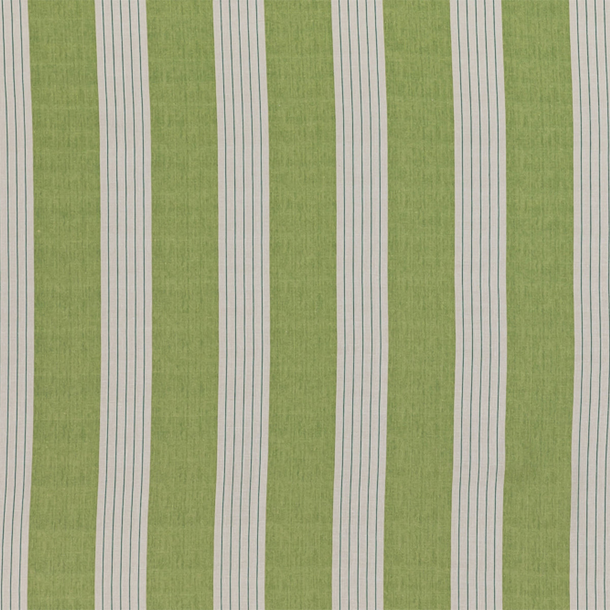 Lambert Stripe - Green