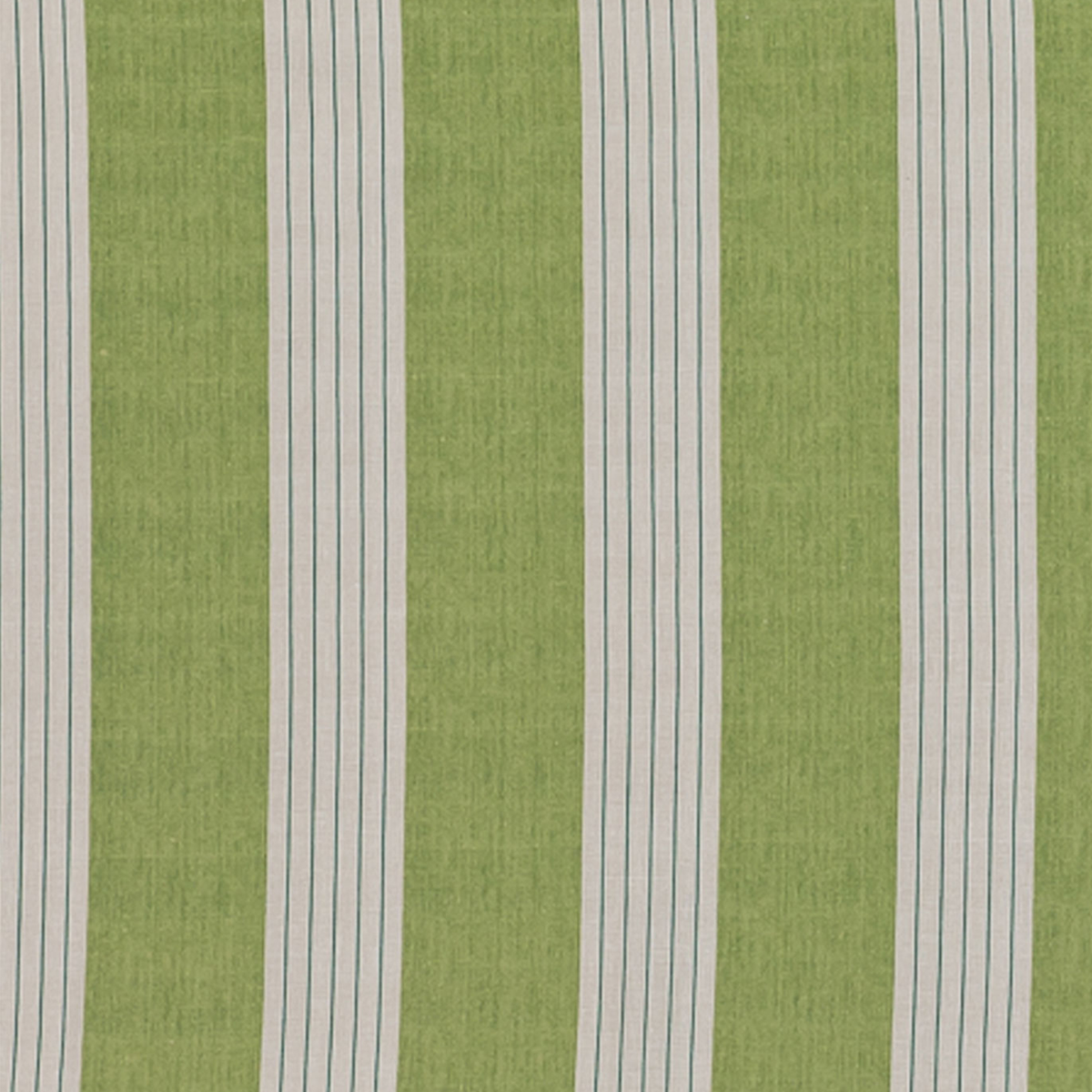 Lambert Stripe - Green