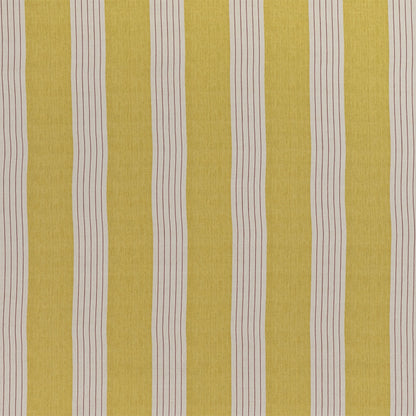 Lambert Stripe - Yellow