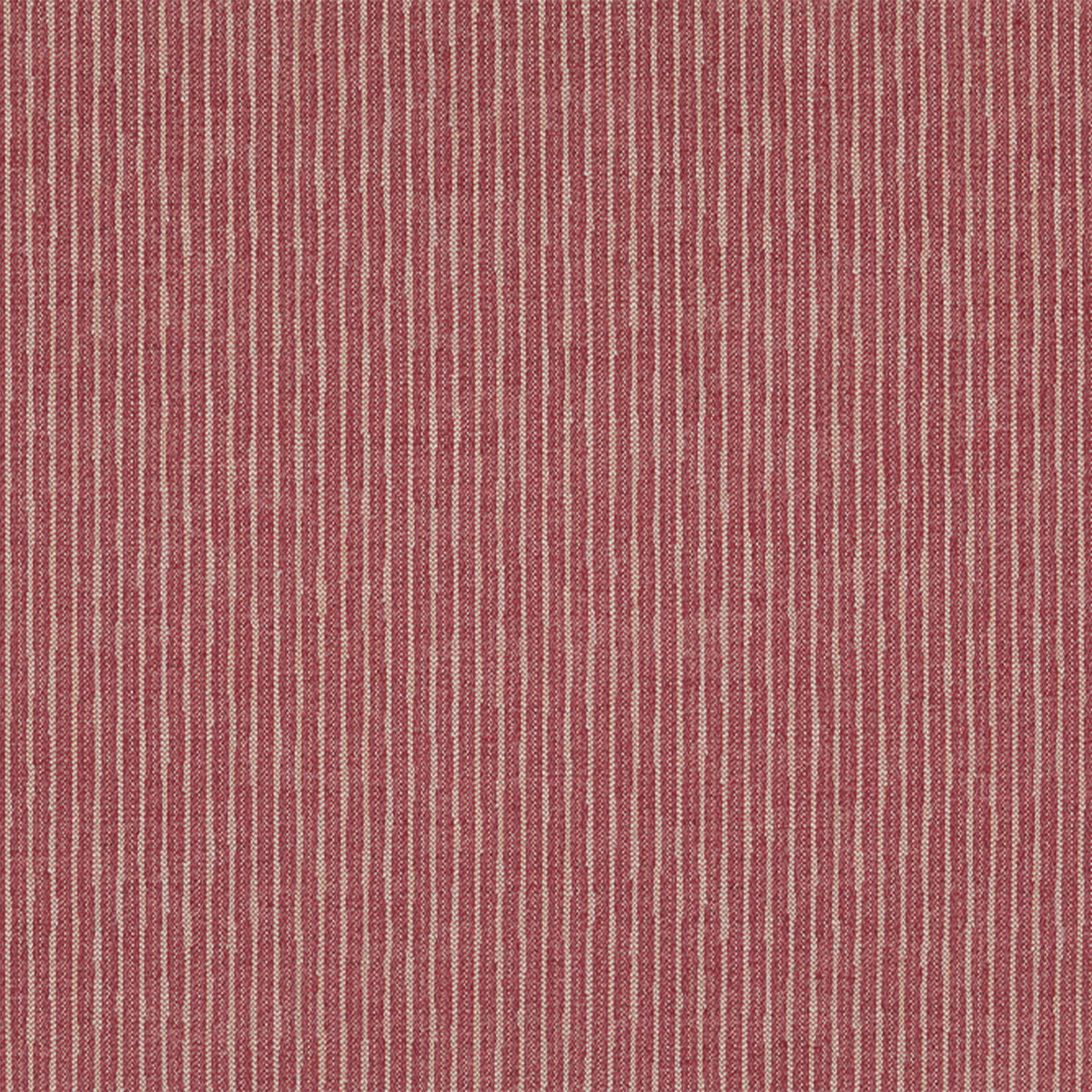 Bailey - Raspberry