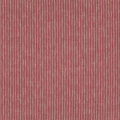 Bailey - Raspberry