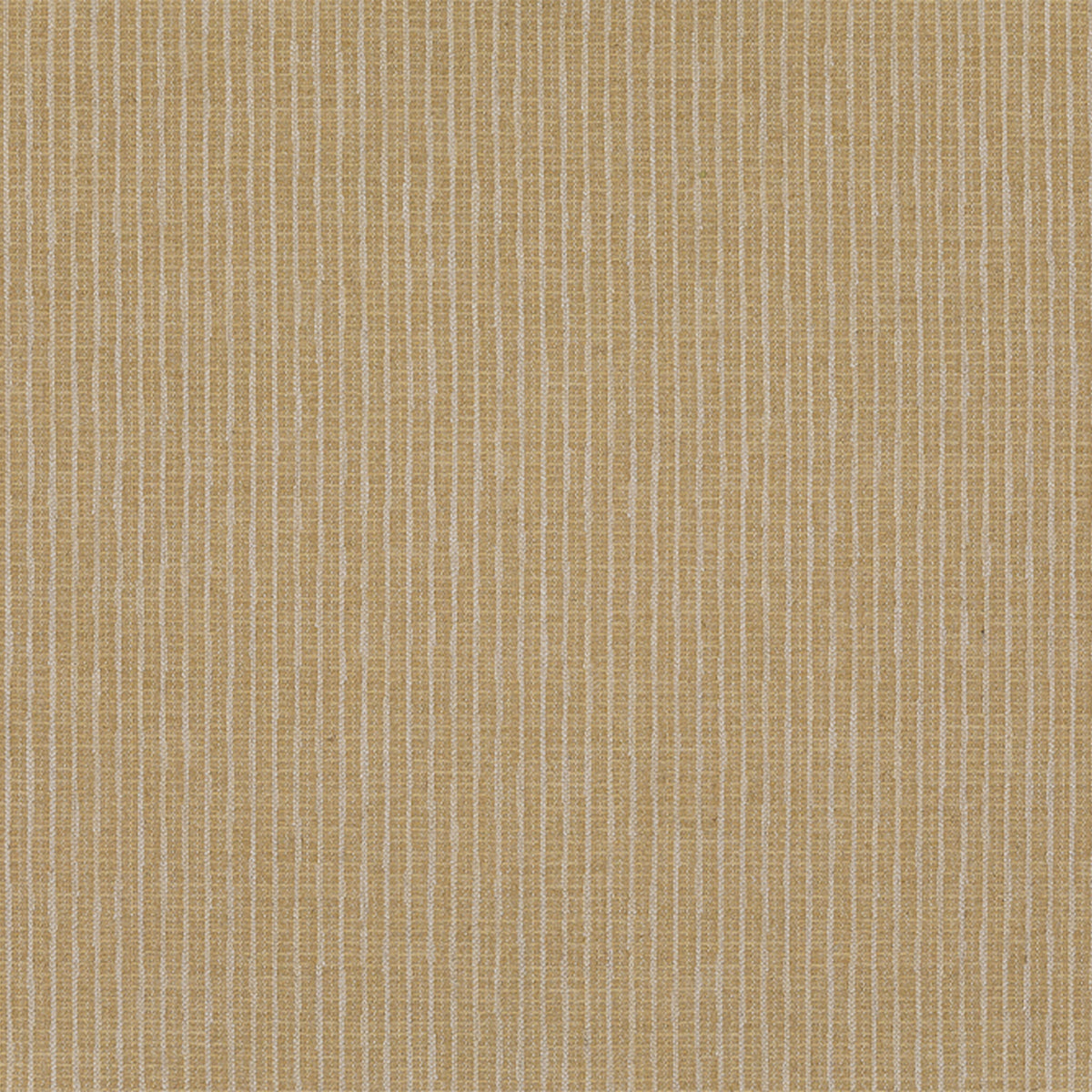 Bailey - Gold