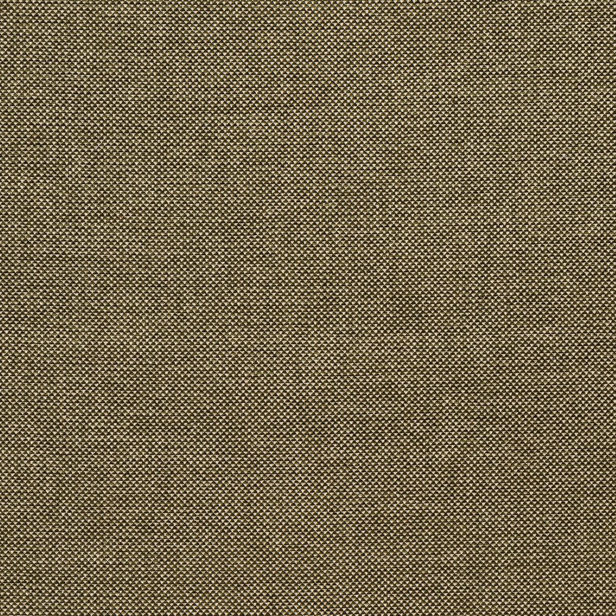 Webster - Moss