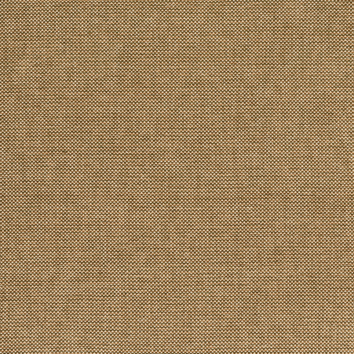 Webster - Gold