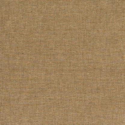 Webster - Gold