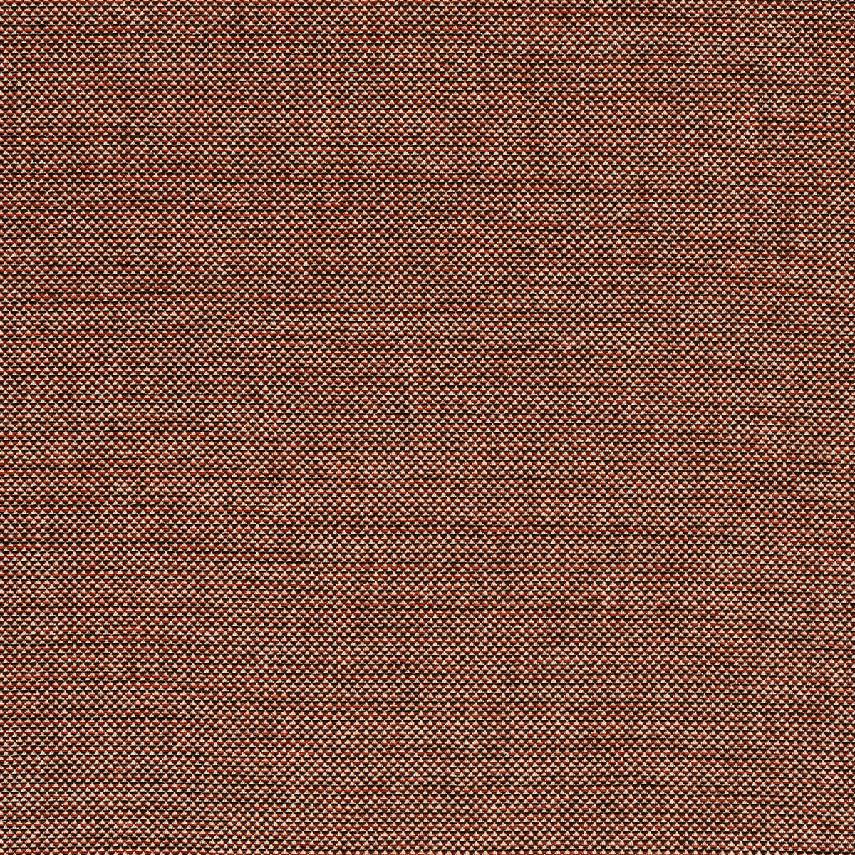Webster - Russet