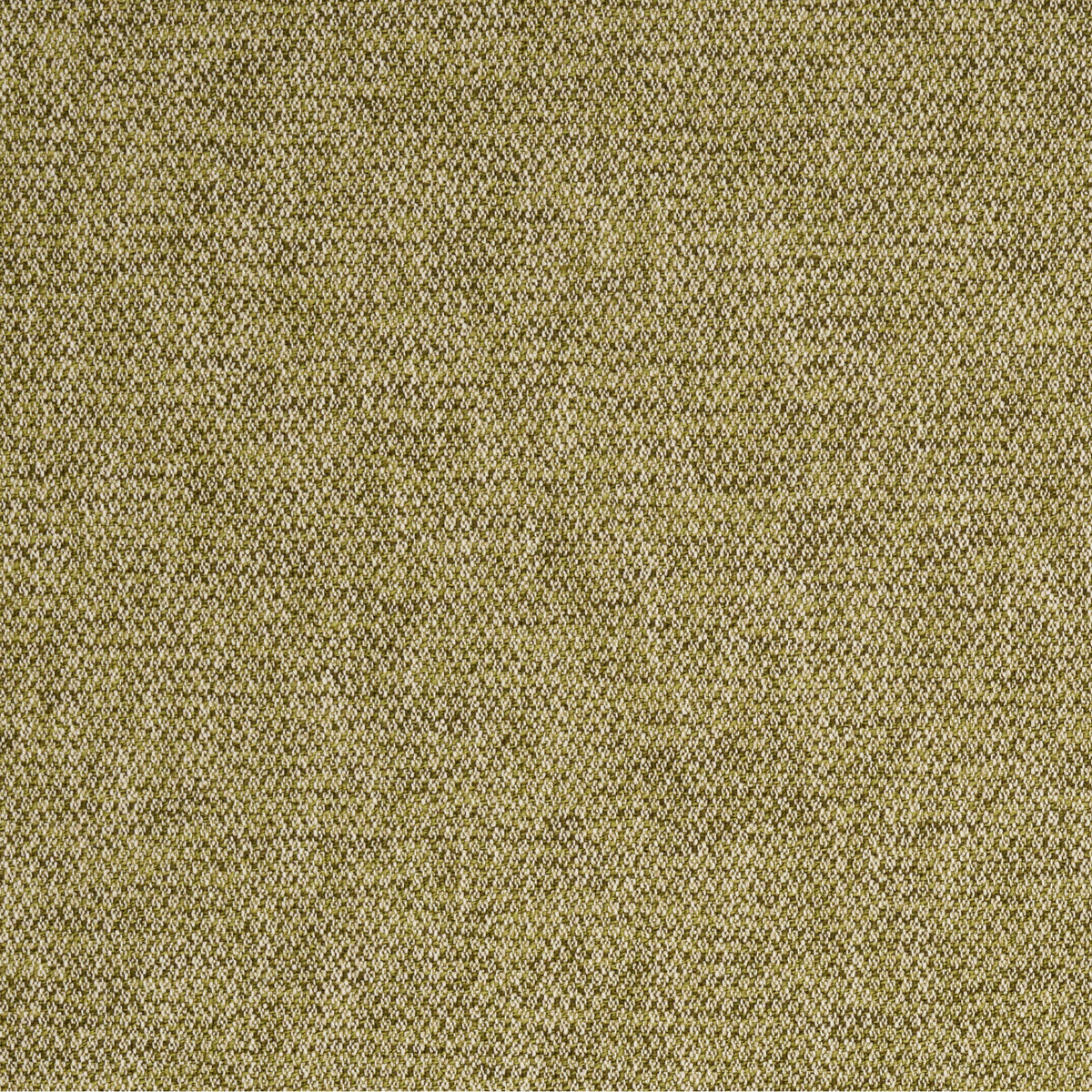 Wilson - Leaf
