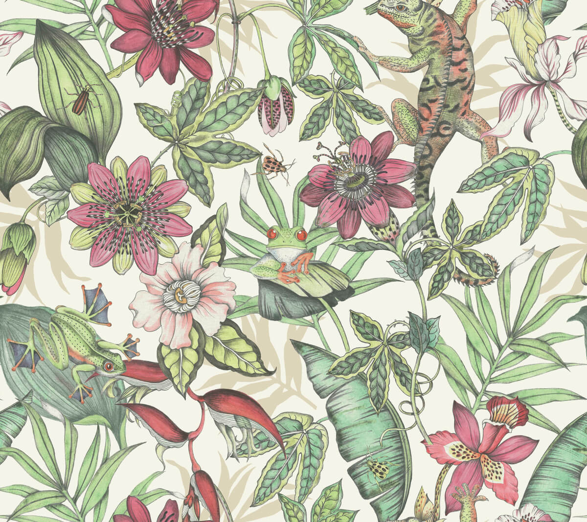 Rainforest Wallpaper