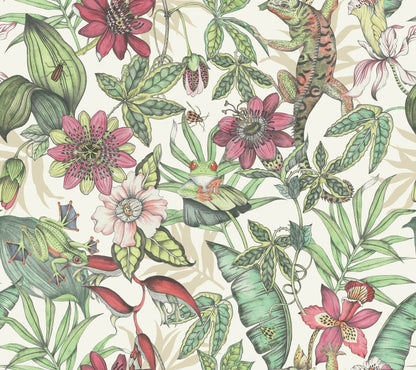 Rainforest Wallpaper