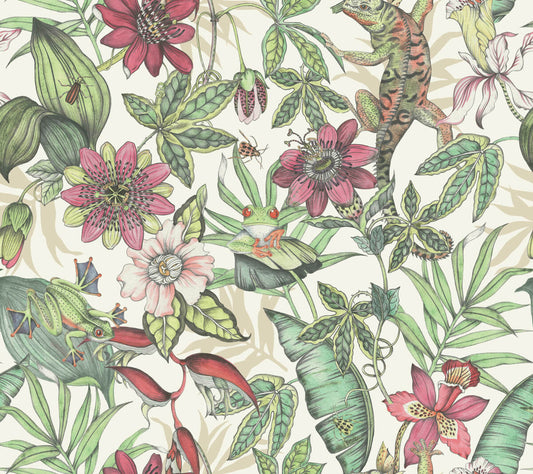 Rainforest Wallpaper