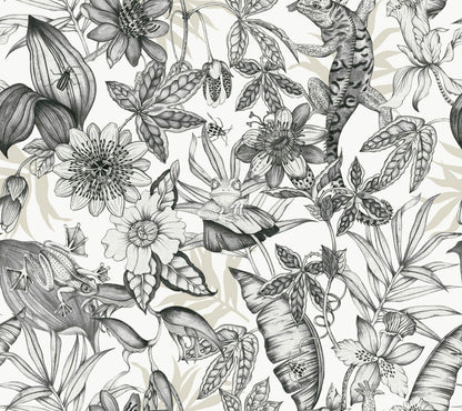 Rainforest Wallpaper