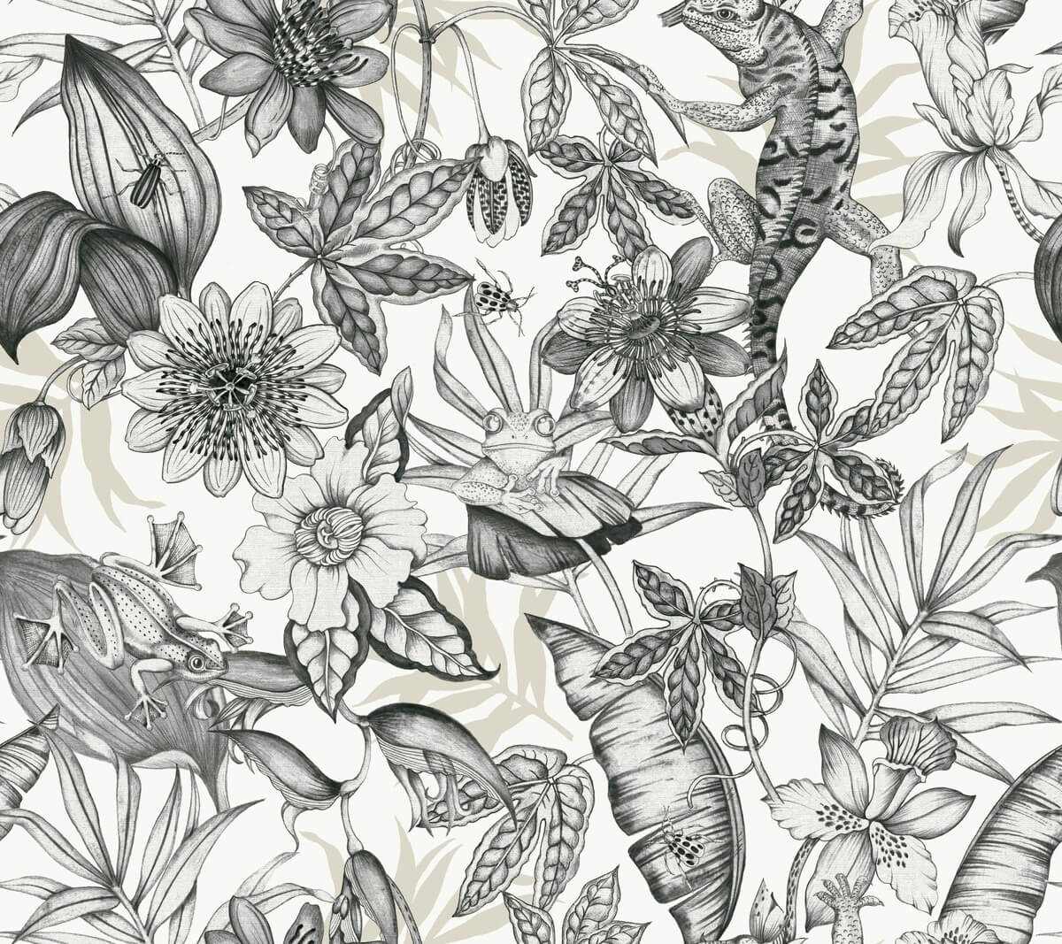 Rainforest Wallpaper